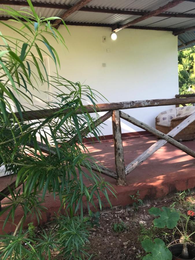 Tayana Place Homestay